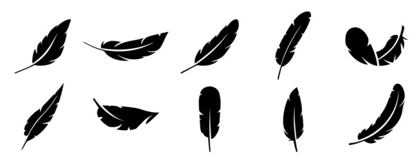 Feathers set icon vector illustration - obrazy, fototapety, plakaty