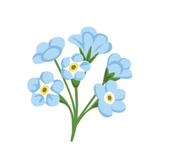 Forget-me-not wild flower, Myosotis Sylvatica plant. Botanical vector illustration, isolated on white background. Hand drawn flat decorative element.