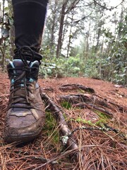 Hiking boots in the forest.