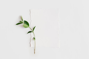 Mock up of blank paper card with green leaves on white background. Flat lay, top view with copy space