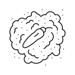 paprika pepper line icon vector illustration