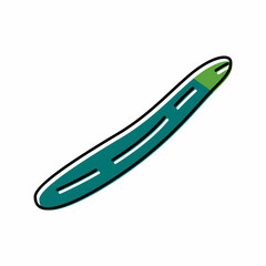 english cucumber color icon vector illustration
