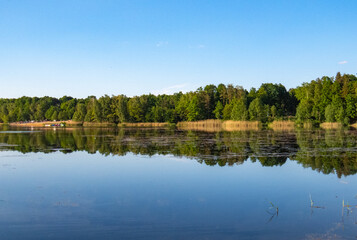 Obraz premium Symmetrical reflection of trees and sky in the lake