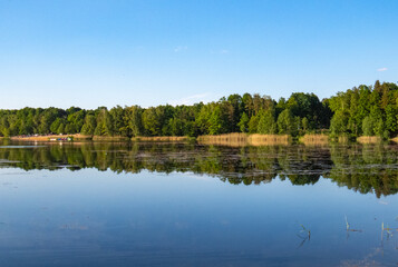 Symmetrical reflection of trees and sky in the lake