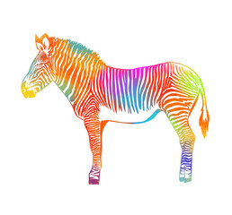 Multicolored abstract zebra. Vector illustration