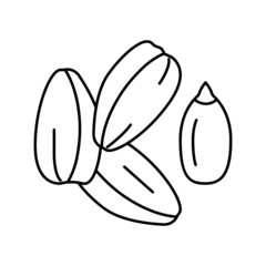 sunflower seed line icon vector illustration
