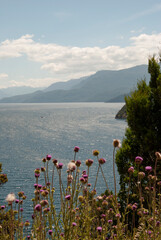 Paisaje de lago 