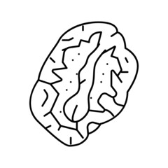 sun-dried tomatoes line icon vector illustration