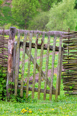 horizontal wattle fence with wicket at summer day in Yasnaya Polyana, Russia