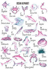 Ocean alphabet. Abc poster with sea animals. Ocean animals and sea life illustrations. English alphabet isolated on white. Watercolor paintings.  © Liudmila