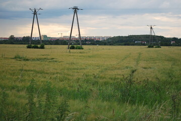 agricultural landscape, electric pylons, buildings in the background © TK_Office