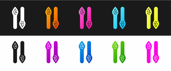 Set Asparagus icon isolated on black and white background. Vegetable for farm market menu. Healthy food. Vector