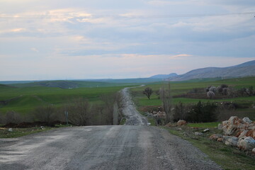 Fototapeta premium road in the mountains