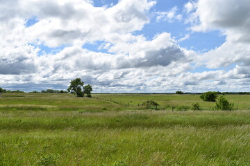 Cloudy Blue Sky Over a Field