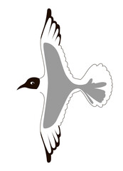 Bird in flight. Logo. Drawn with a line and silhouette in black and grey. Vector illustration isolated on white background.