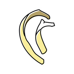 rib bone color icon vector illustration