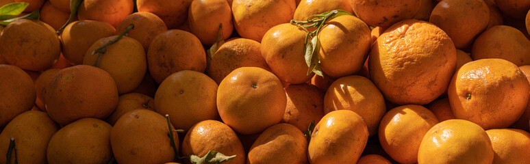 a lot of Fresh mandarine on the food market. Food background