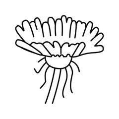 dandelion flower bud line icon vector illustration