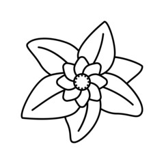 Fototapeta na wymiar flower leaf line icon vector illustration