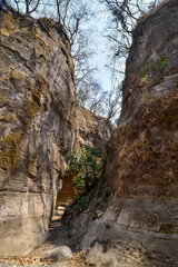 ca&ntilde;on de Zacualpan