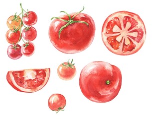 Set of tomatoes on white background. Food vegetables illustration 