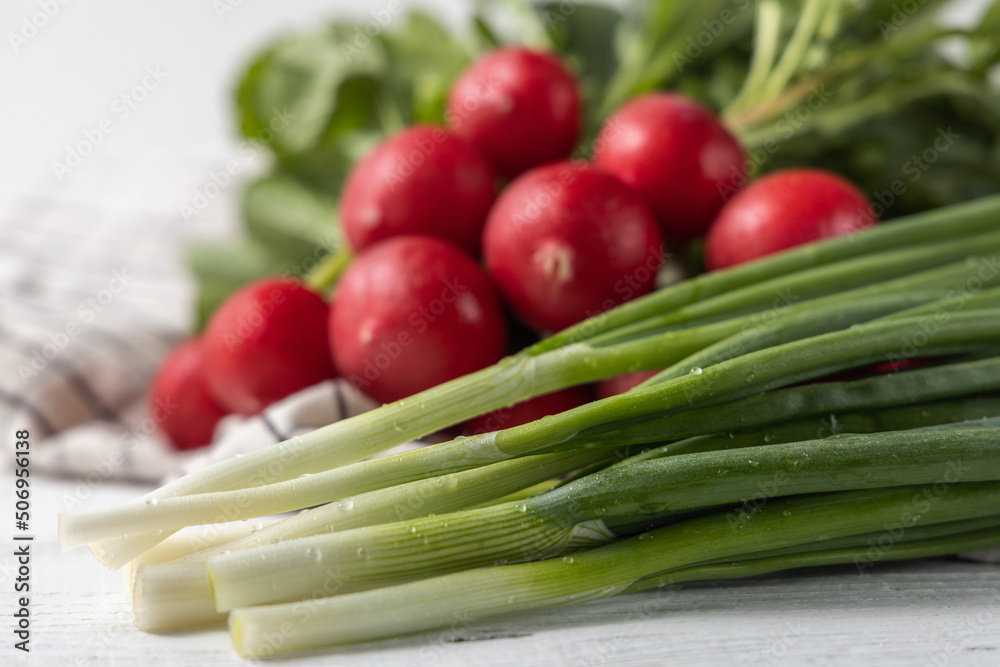 Wall mural fresh green onions and radishes