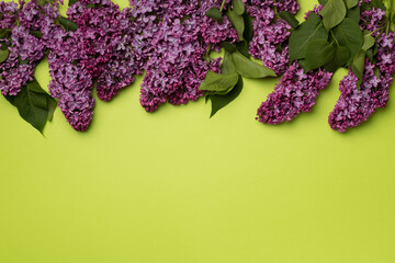 Lilac branches on color background, top view. Spring flowers concept