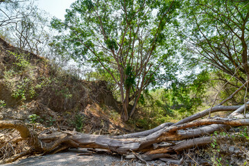 cañon de Zacualpan