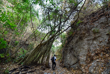 cañon de Zacualpan