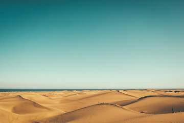 Naklejka premium sand dunes in the desert