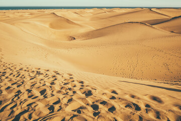 sand dunes in the desert