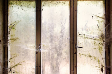 A view of a window covered with moss and cobwebs from inside an abandoned building.