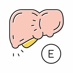 type e hepatitis color icon vector illustration
