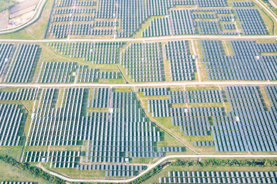 Solar farm, field or solar power plant in aerial view consist of photovoltaic cell in panel, landscape, technology. Industry for electric, electricity generation. Clean green power energy from nature.