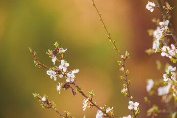 wild nature photo. Made ethically, without frightening animals or interfering with the ecosystem.