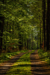 wild nature photo. Made ethically, without frightening animals or interfering with the ecosystem.