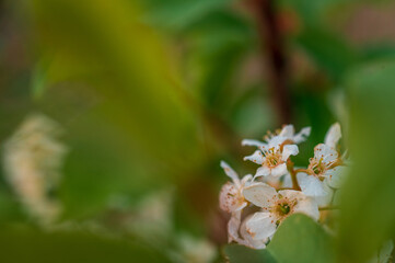 wild nature photo. Made ethically, without frightening animals or interfering with the ecosystem.
