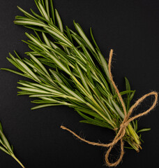 Rosemary branch on a black background. Fresh rosemary.