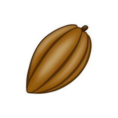 茶色のカカオの果実