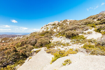 Mt Buffalo Cathedral Rock View in Australia