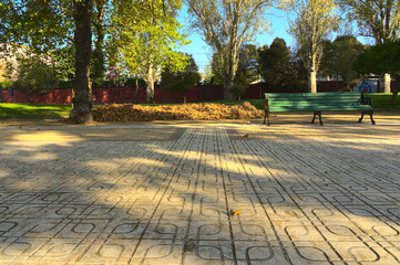 bench in the park