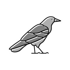 crow bird color icon vector illustration