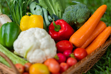 Vegetables basket on grass background
