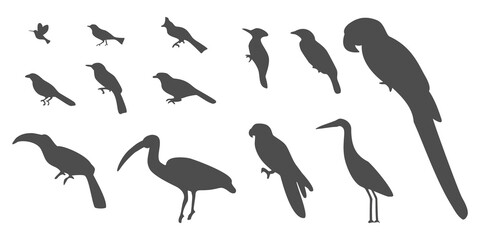 Set of silhouettes of birds. Illustration of birds collection isolated on white background. Vector illustration.