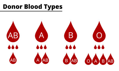 Donor blood types compatibility diagram. ABO blood group system. Vector illustration. - obrazy, fototapety, plakaty