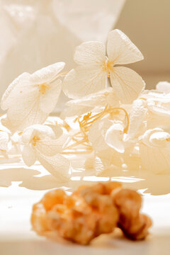 Noz e flores brancas decorativas. Fotografia macro e food styling.