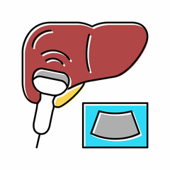 ultrasound liver color icon vector illustration