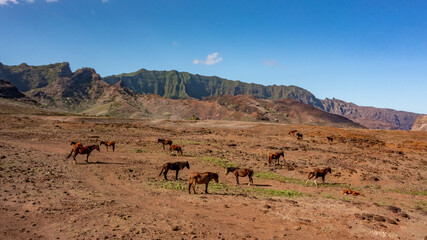 vue aérienne de l'île au chevaux dans l'archipel des marquises en polynésie française par beau...