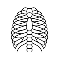 chest bone line icon vector illustration