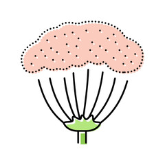 anise plant color icon vector illustration